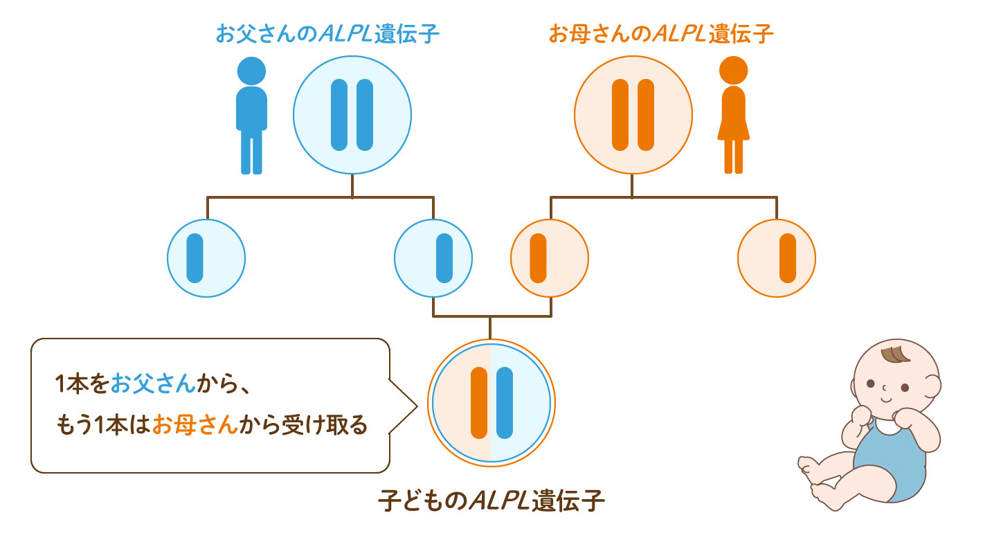 遺伝